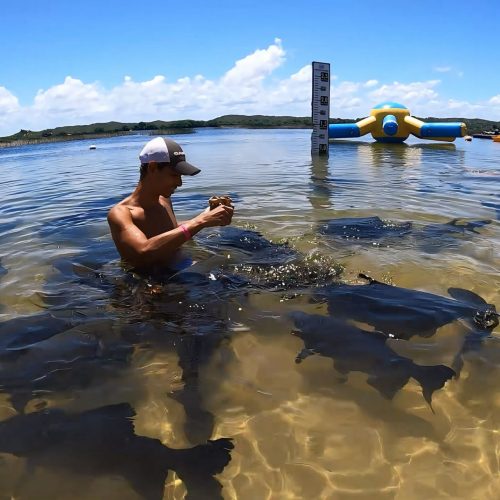 CONHEÇA A LAGOA DOS TAMBAQUIS E A PRAIA DO SACO | ESTÂNCIA | SERGIPE