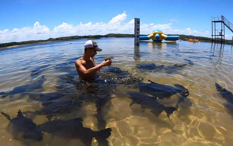 CONHEÇA A LAGOA DOS TAMBAQUIS E A PRAIA DO SACO | ESTÂNCIA | SERGIPE